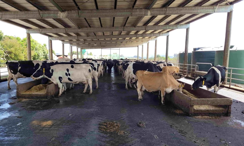 agricultural rubber matting nz