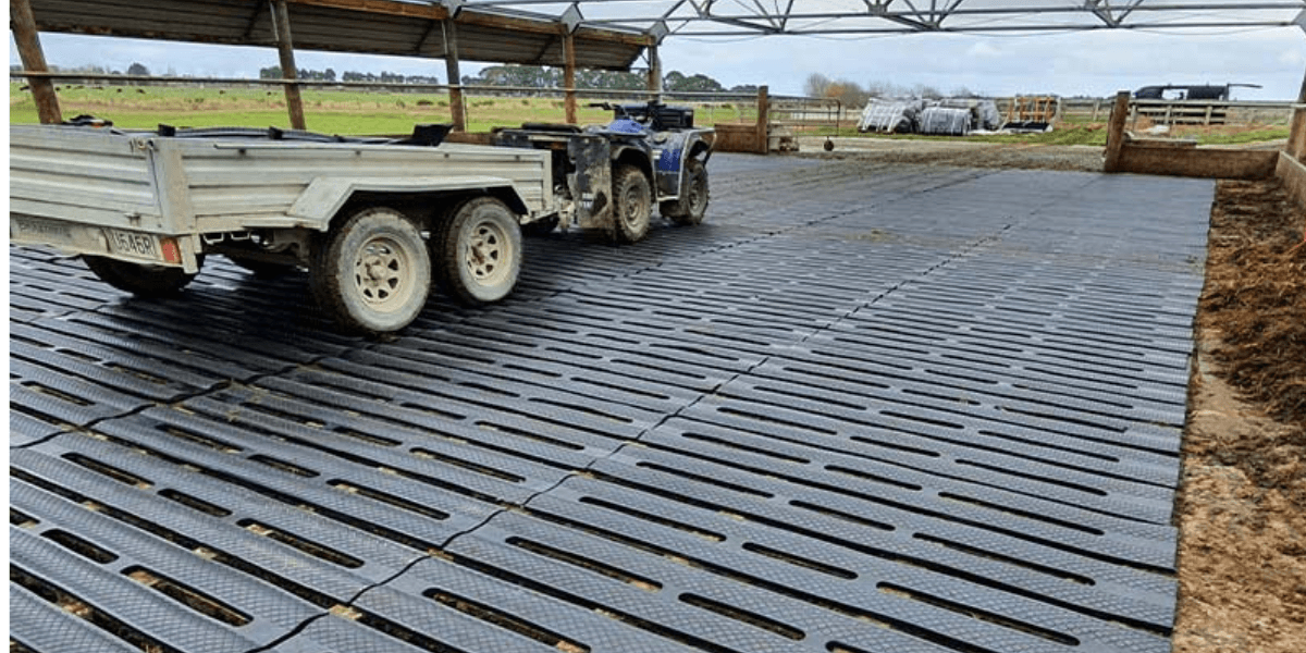 What NZ Dairy Farmers Need to Know Before Buying Rubber Matting