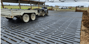 What NZ Dairy Farmers Need to Know Before Buying Rubber Matting